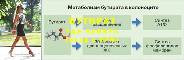 индика Волоколамск