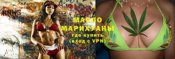 индика Волоколамск