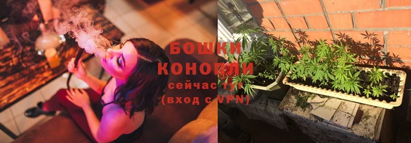 mdpv Заводоуковск