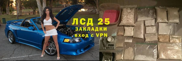 индика Волоколамск
