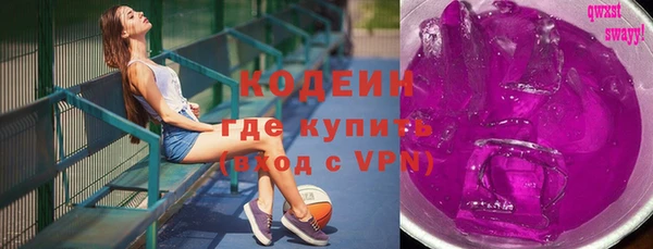 индика Волоколамск