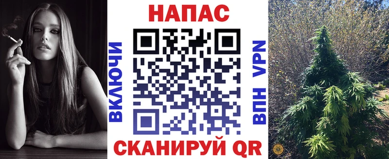 где можно купить   Дубовка  Бошки Шишки THC 21% 